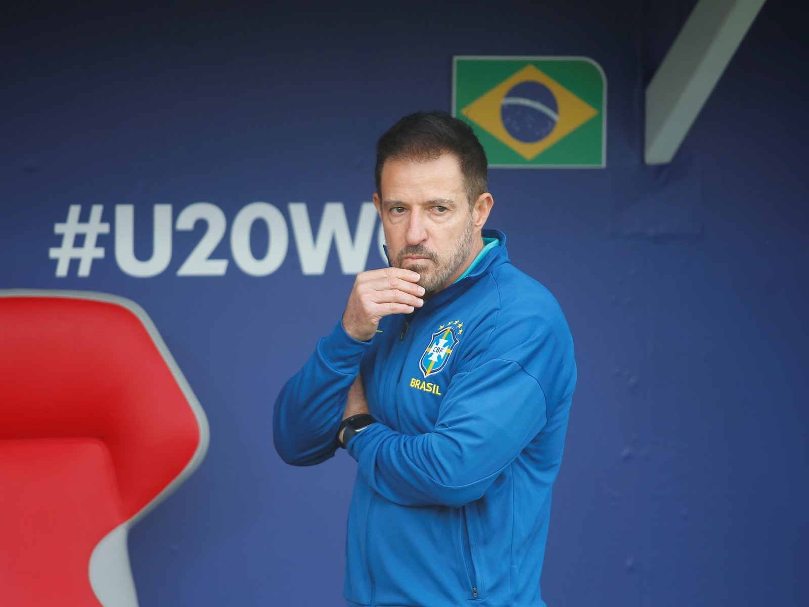 por qué en el país vecino otra vez se habla de «la maldición del gato»