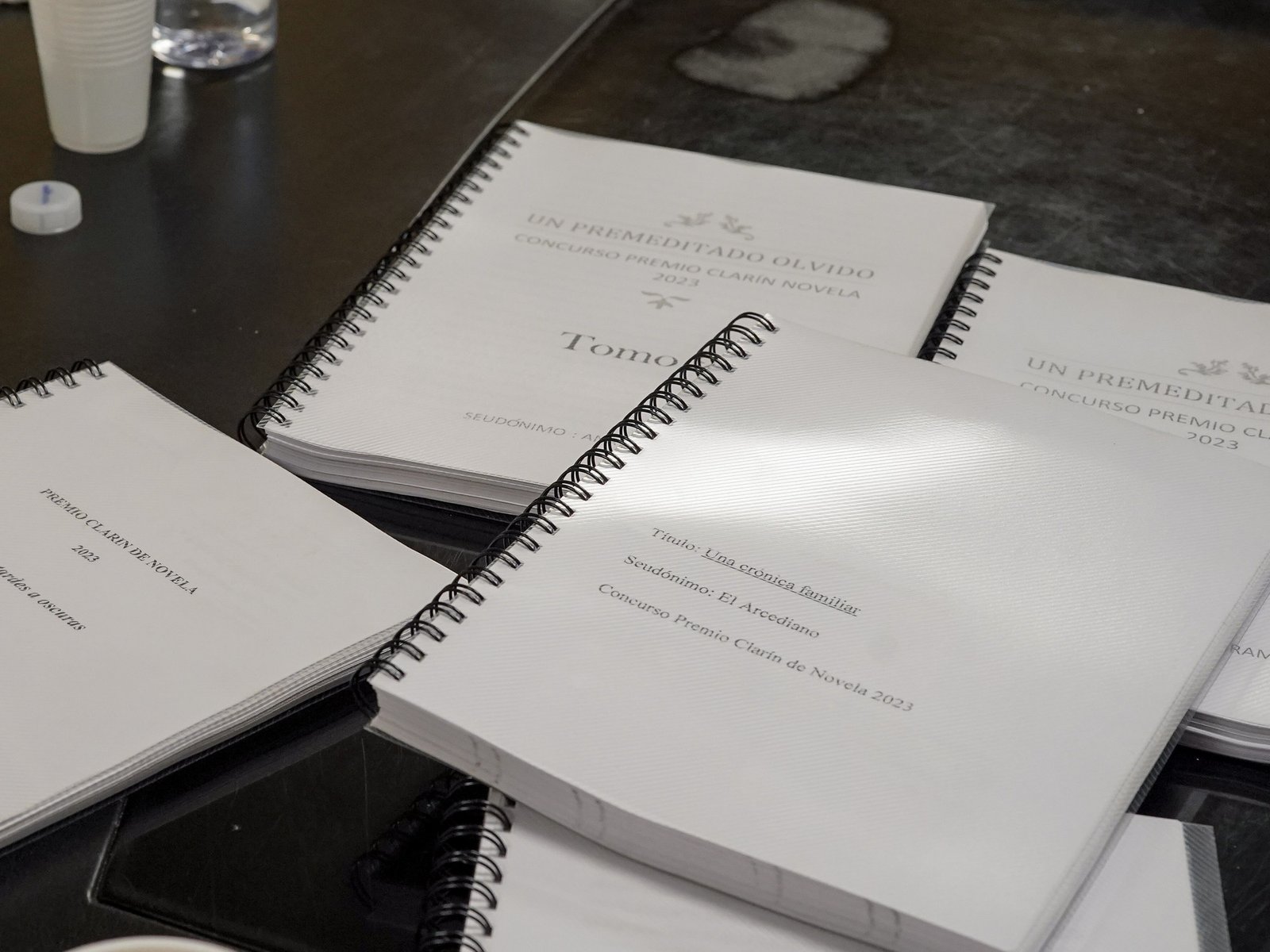 ya están los siete libros finalistas