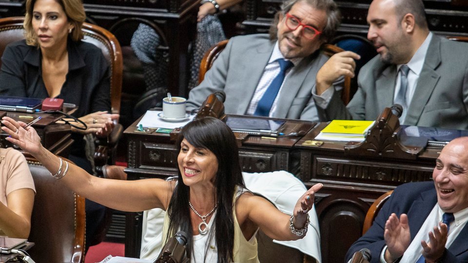 Coletazos del narcogate: una denuncia podría frenar la llegada de Lorena Villaverde al Senado | Tensión en La Libertad Avanza de Río Negro