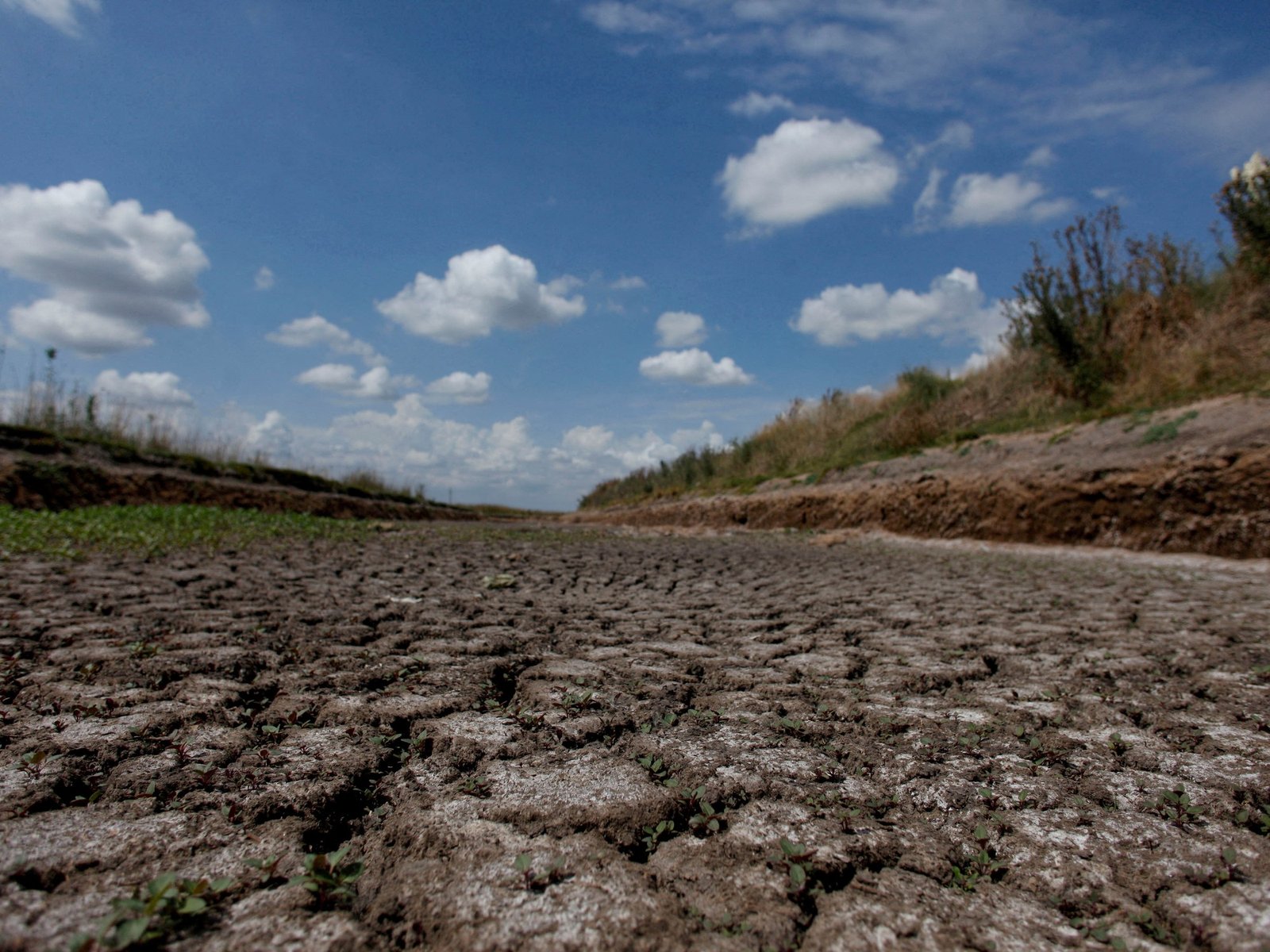 Cómo es el nuevo plan climático de Argentina, y por qué podrá emitir más gases de efecto invernadero