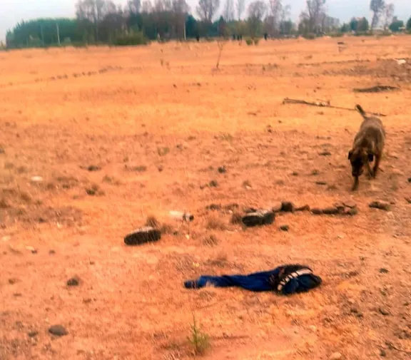 Convicto desaparecido: hallan en el descampado un calzoncillo, un pantalón y zapatillas manchadas con sangre