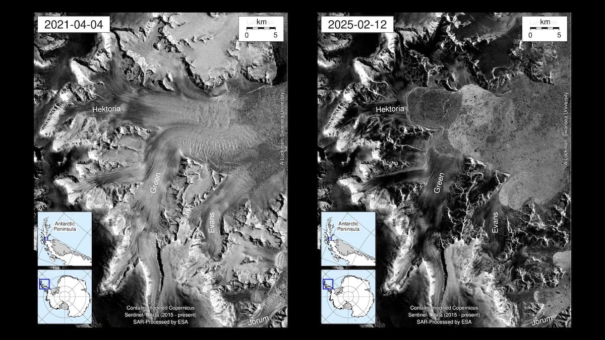 El mayor retroceso de un glaciar en tierra, más de ocho kilómetros en solo dos meses: “Es realmente espectacular” | Clima y Medio Ambiente