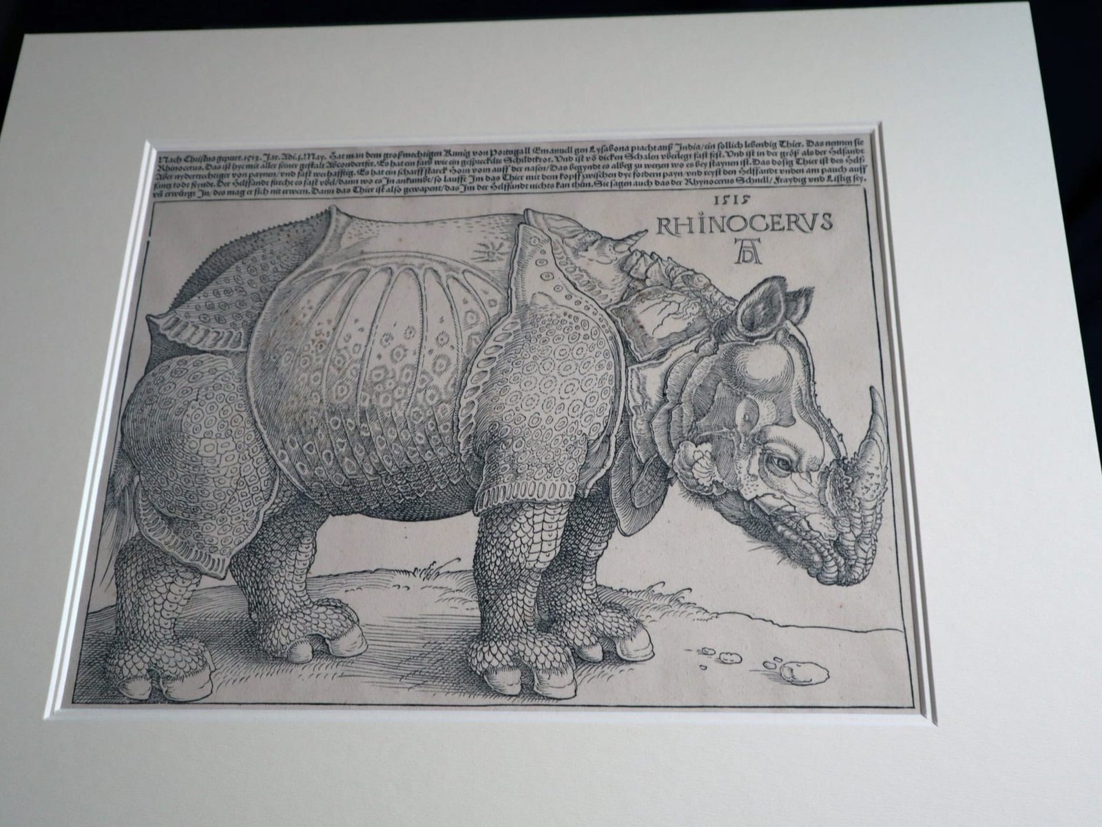 Encuentran en Praga un original olvidado del ‘rinoceronte’ impreso por Durero en 1515