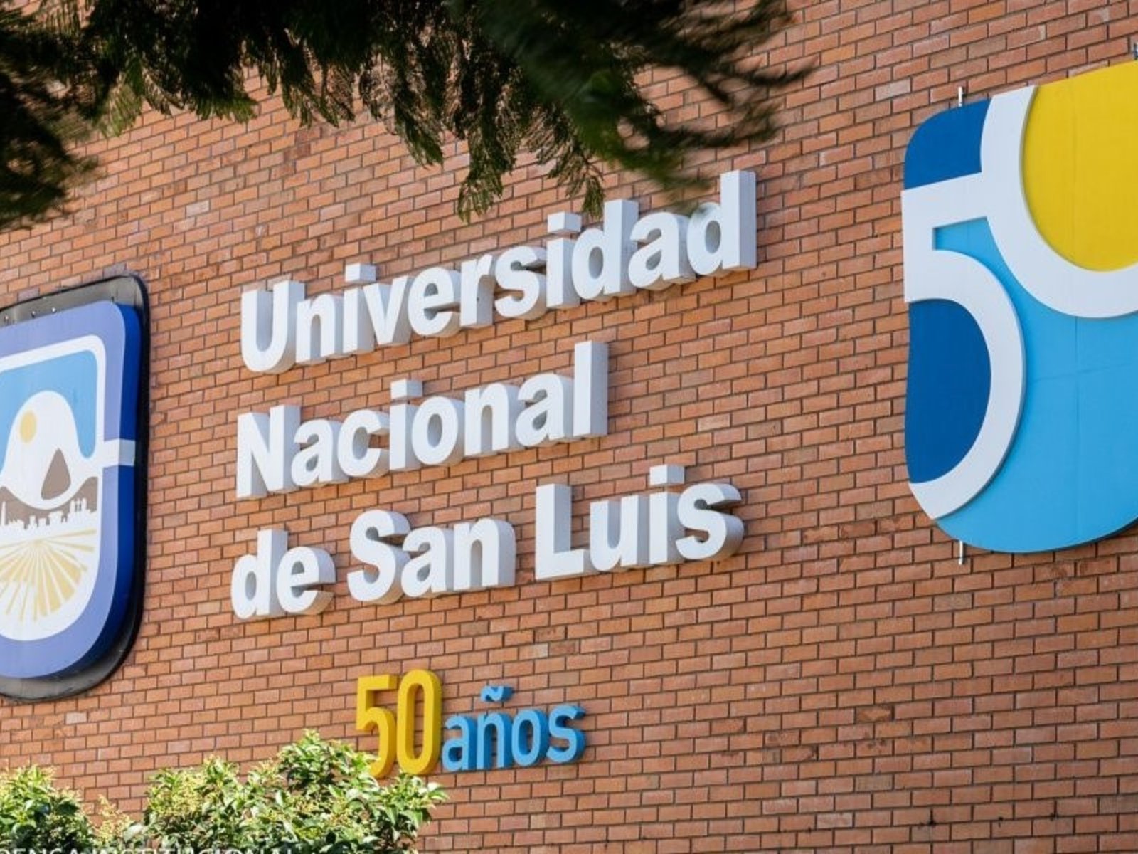 Escándalo en la Universidad Nacional de San Luis por la pelea entre un jefe de cátedra y uno de sus profesores