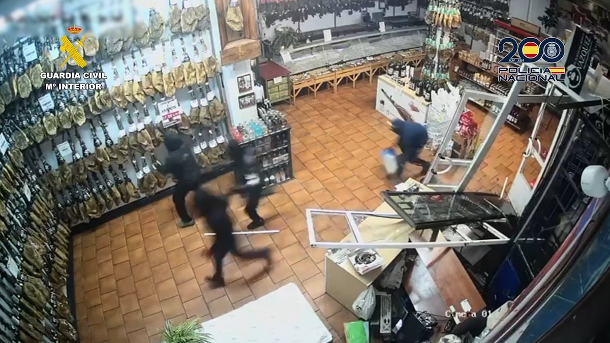 La banda de Sevilla que reventaba escaparates para robar tragaperras, ibéricos y bicicletas | España