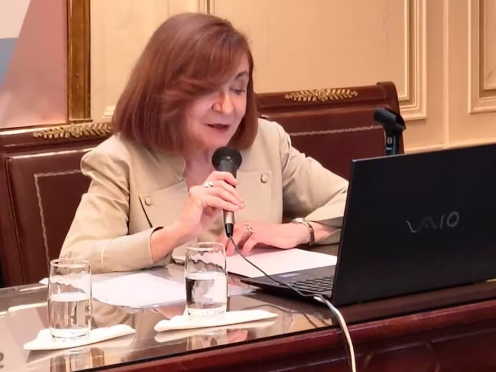 La escritora María Rosa Lojo se incorporó a la Academia Nacional de Ciencias: «Vivimos hoy momentos críticos»