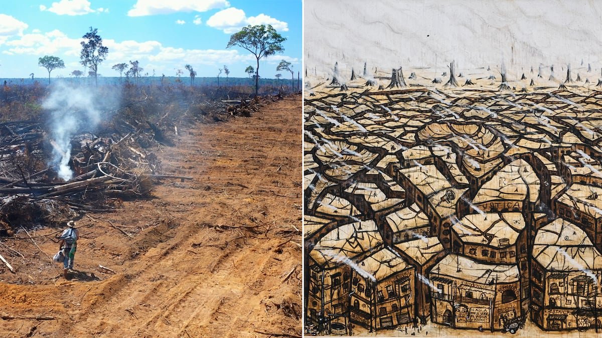 Las cenizas de los incendios se convierten en arte de denuncia en Brasil | América Futura
