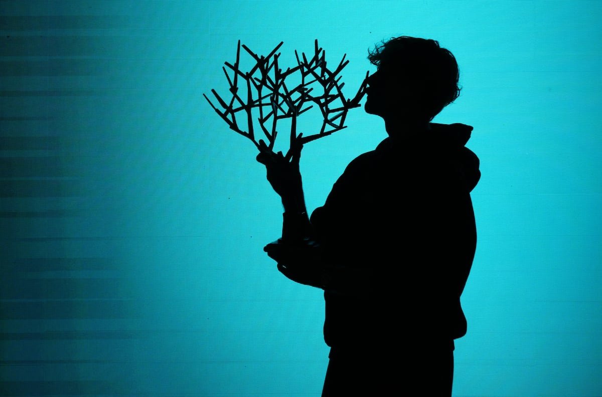 Masters de París 2025: Jannik Sinner conquista el Masters de París y arrebata el número uno a Carlos Alcaraz | Tenis | Deportes