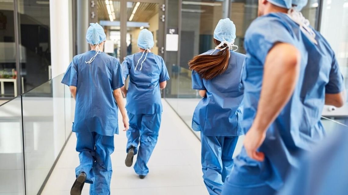 Modelo de salud para armar