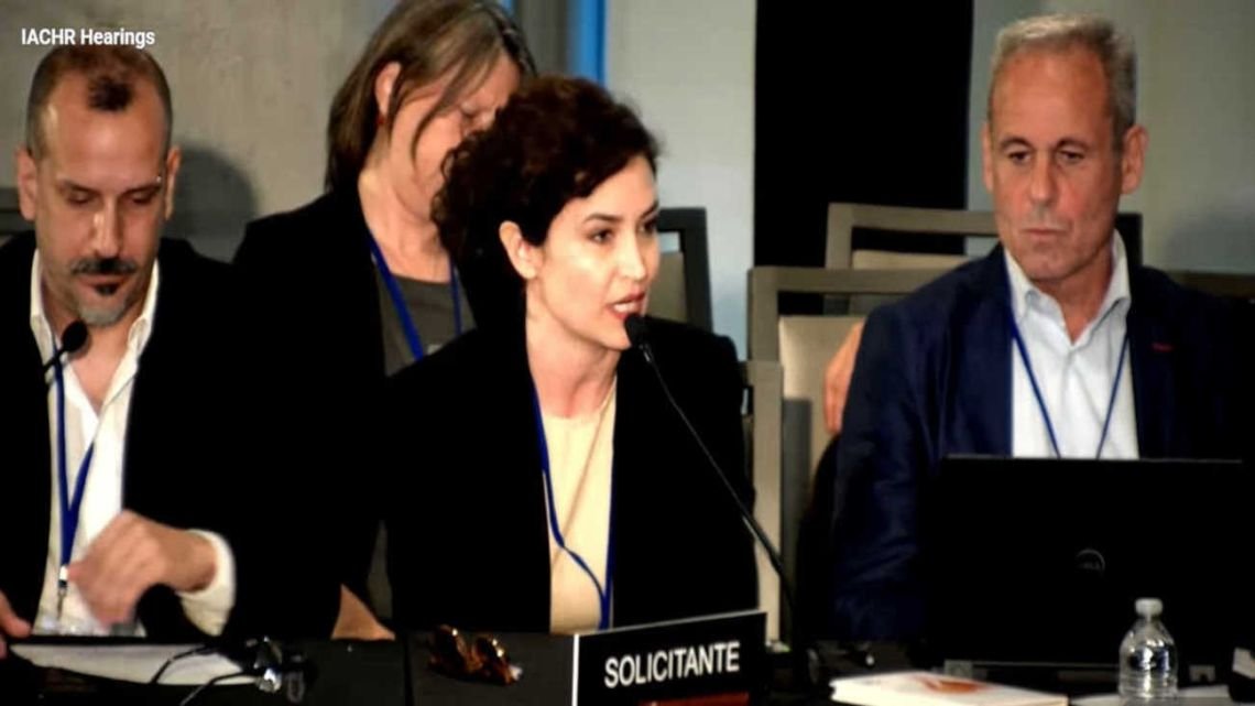 Periodistas denunciaron ante la CIDH los ataques del Gobierno contra la prensa y la libertad de expresión