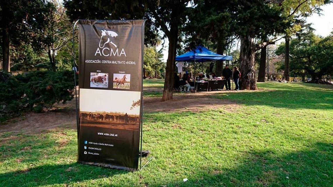 “Que vivan en libertad”: más de 130 caballos rescatados serán desalojados en diciembre