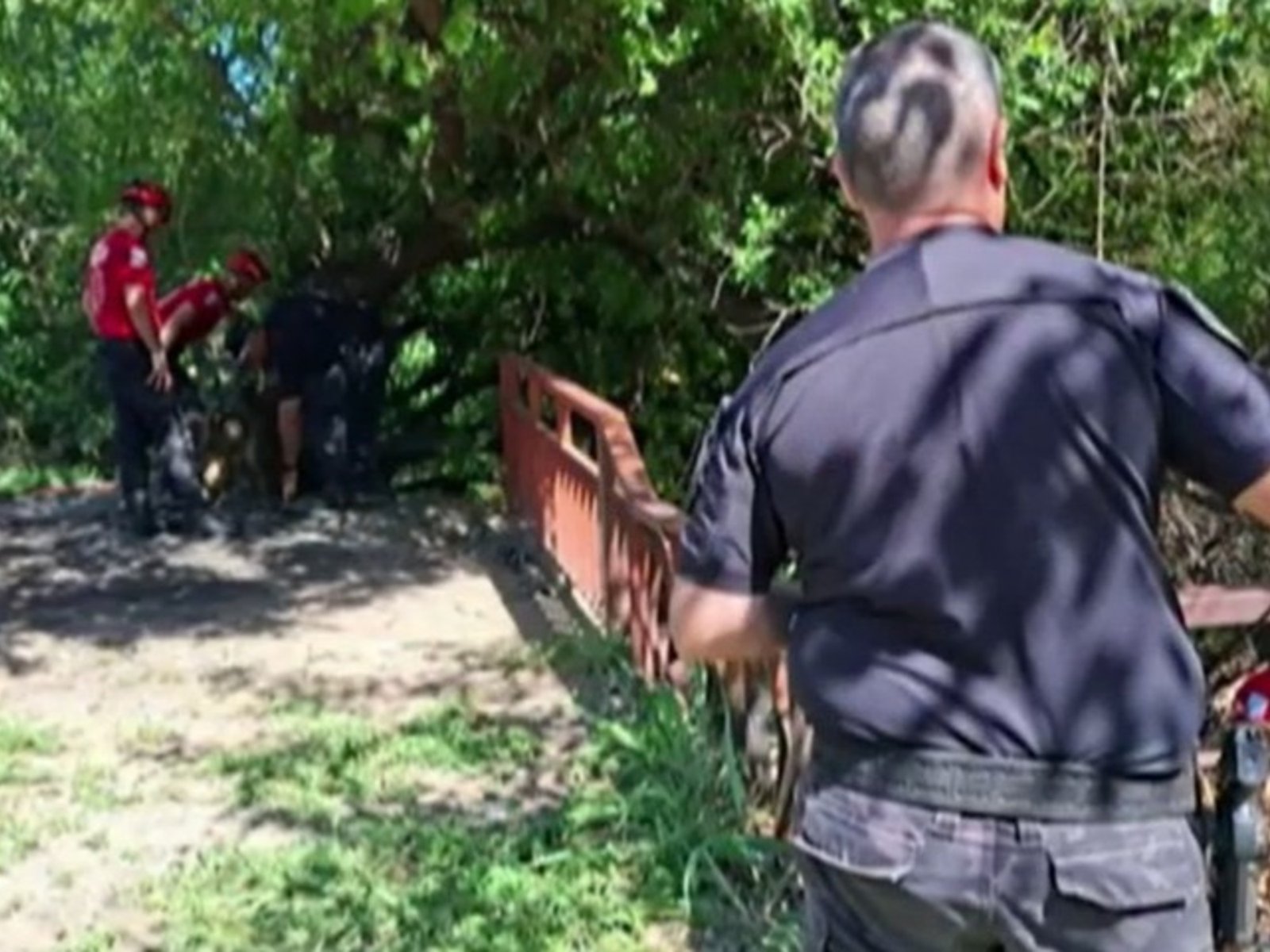 «Se veía como un tatuaje»