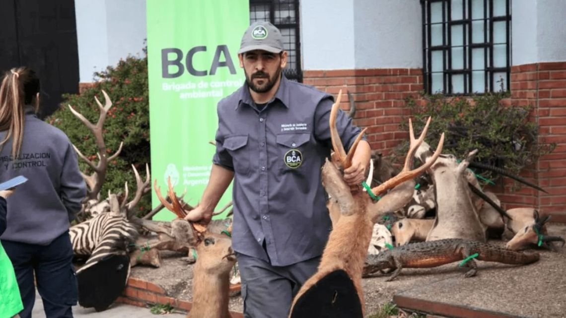 Un argentino recibirá un premio internacional por desarticular una banda de caza furtiva y tráfico de animales