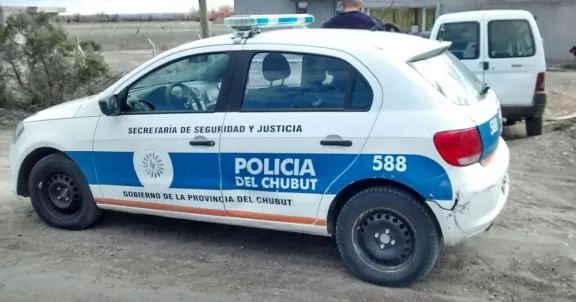 Robaron bebidas alcohólicas en locales del centro y terminaron detenidos