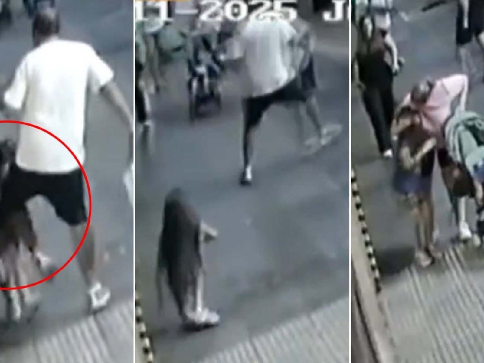 Un hombre con un carnet de discapacidad pateó en el pecho a una nena de siete años en plena calle en Palermo