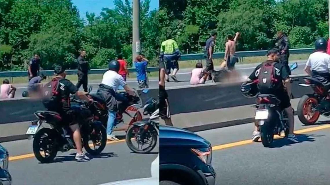 Un nene de 11 años murió atropellado sobre la autopista Buenos Aires-La Plata y el conductor intentó escapar