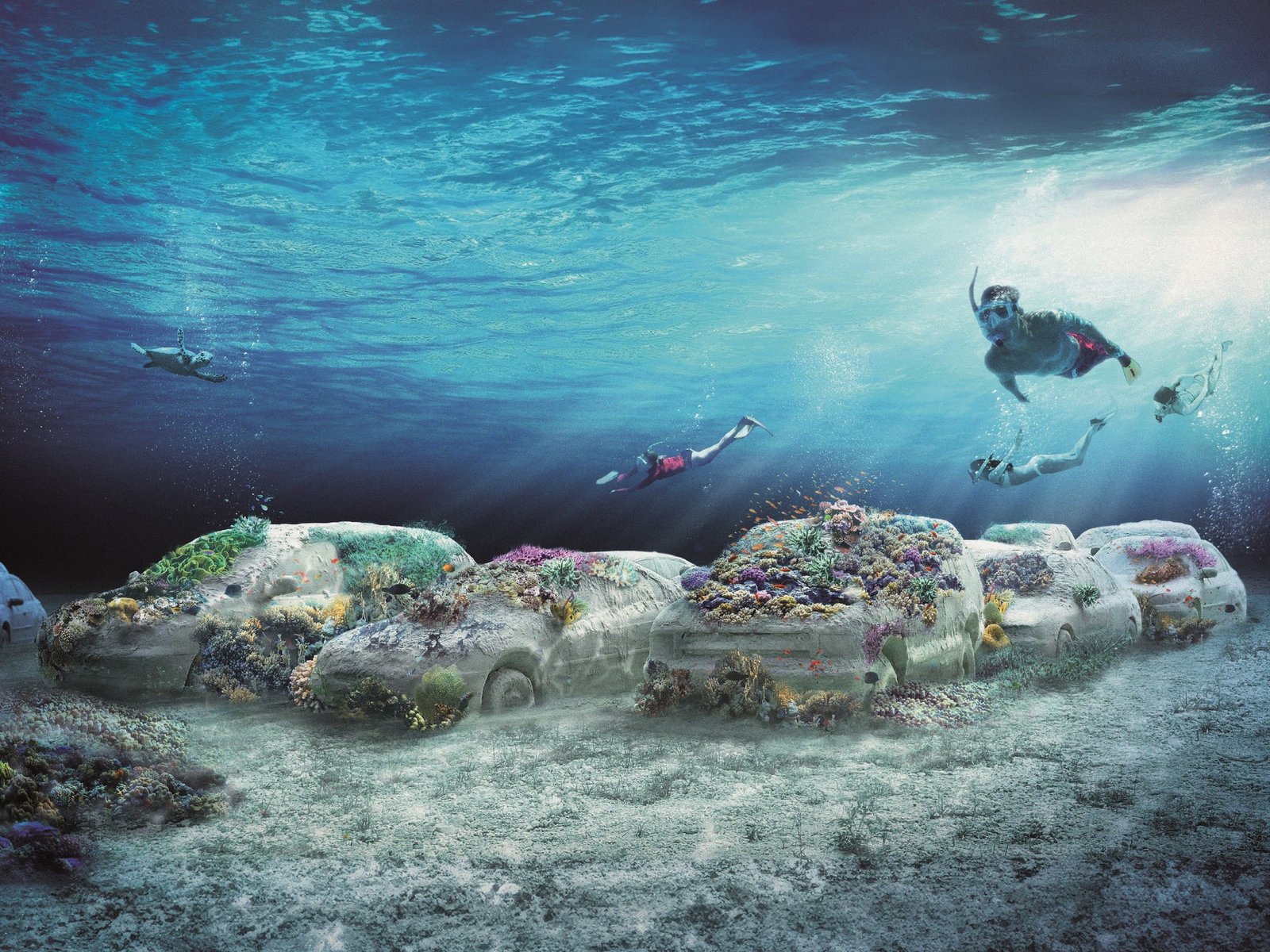 así es la nueva obra de Erlich que se transformará con miles de corales