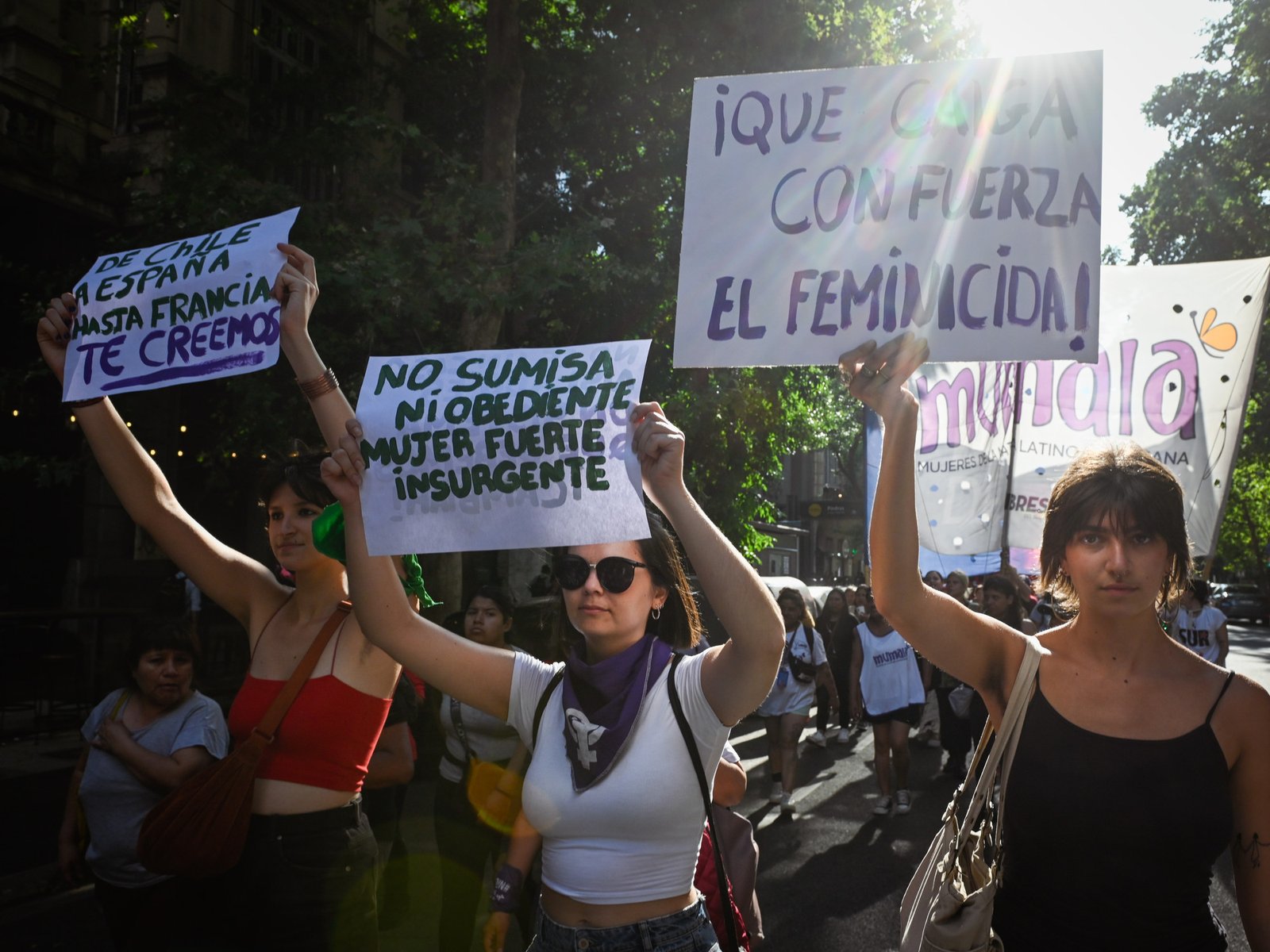 en los últimos cinco años hubo más de 25 mil mujeres víctimas de violencia doméstica