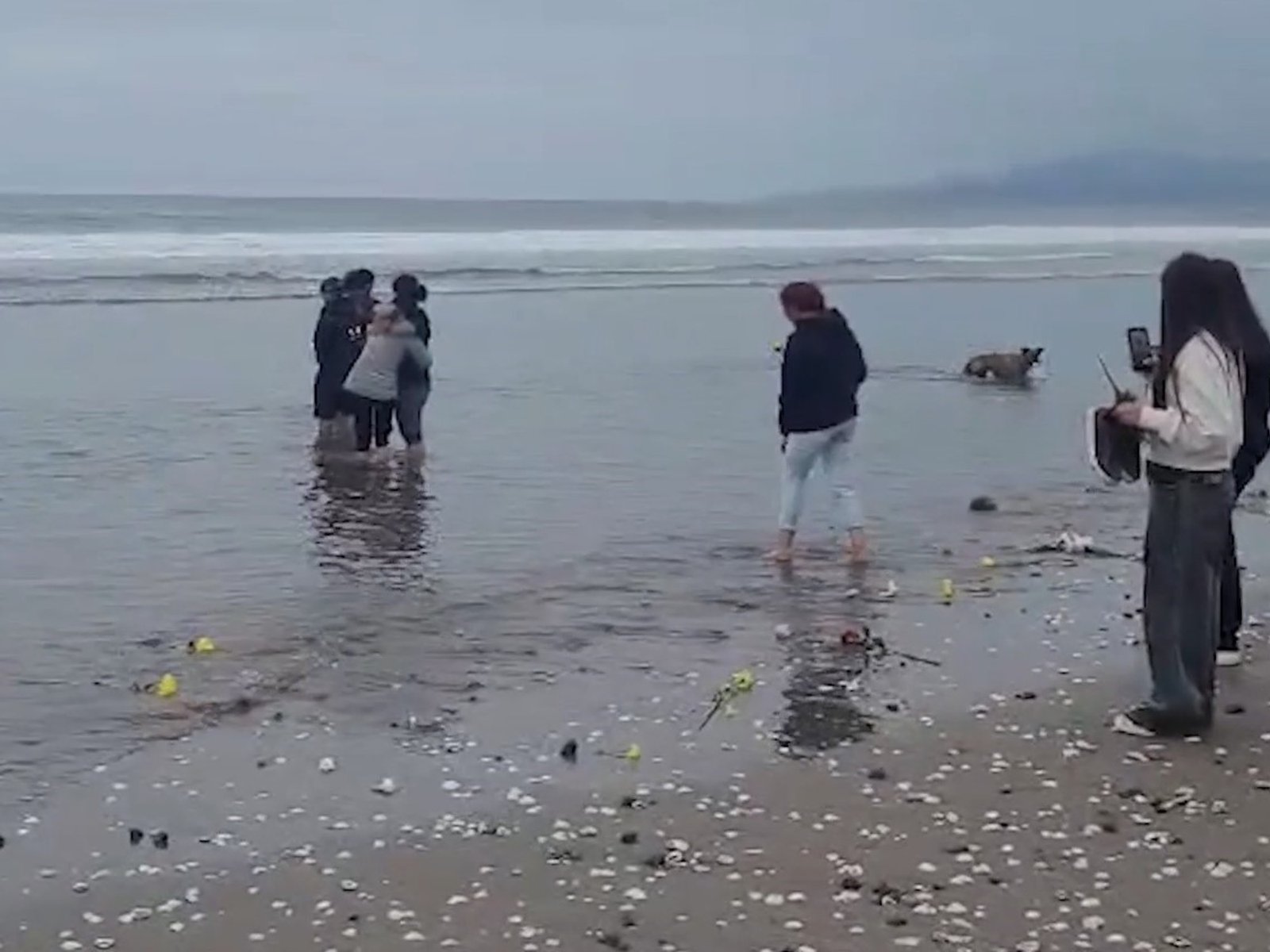 la emotiva ceremonia de la familia junto a la playa