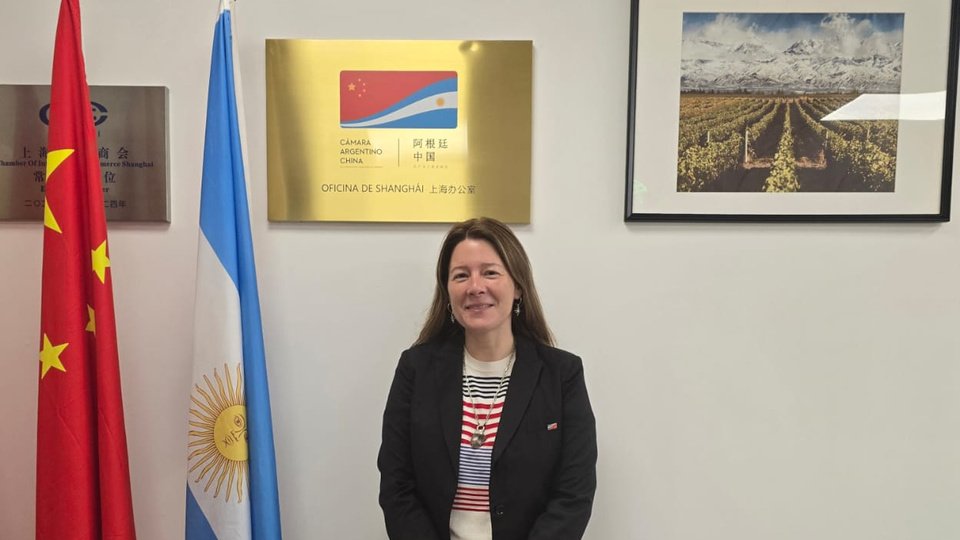 "Sin China se cae se cae la industria nacional, el abastecimiento de insumos y el agro"