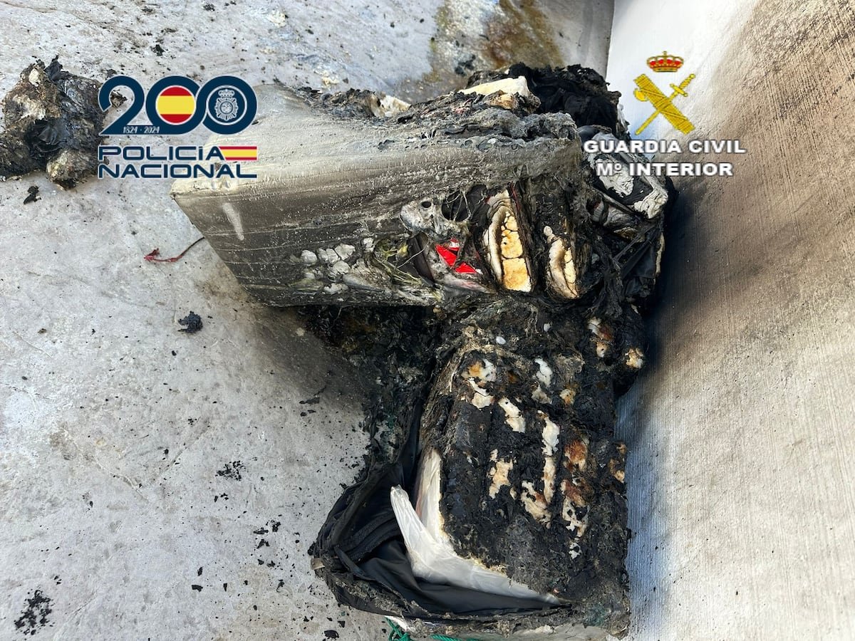 Cae una organización que enviaba camiones cargados de cocaína desde Marbella hasta varios países europeos | España