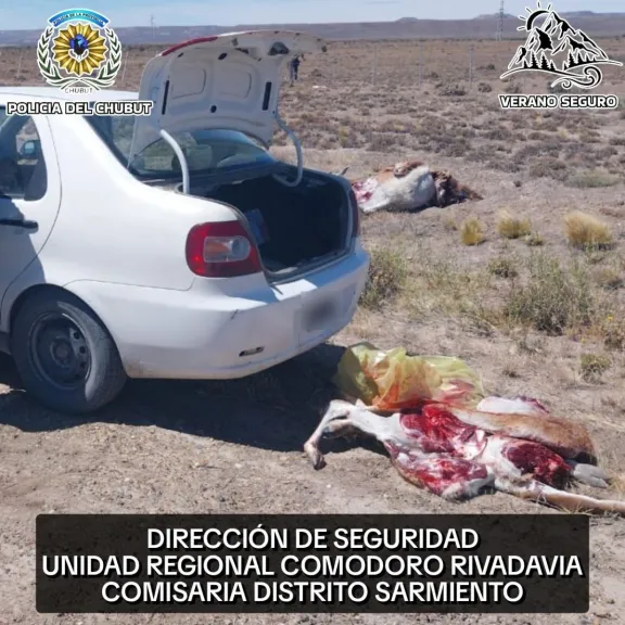 Detectan faena ilegal de guanaco en Ruta 26, cerca de Sarmiento