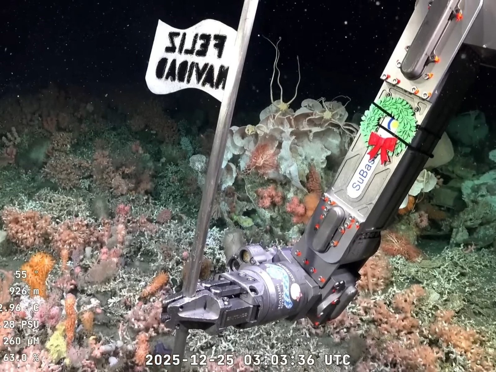 El saludo de Navidad del streaming del Conicet en el fondo del mar