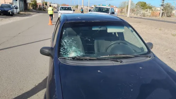 Escapaba de un perro y terminó atropellada