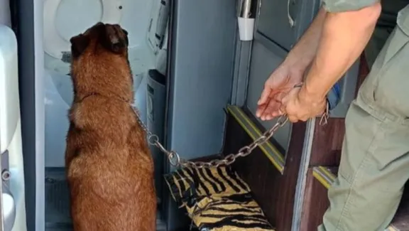 Hallaron casi dos kilos de cocaína en el baño de un colectivo que viajaba hacia la Patagonia