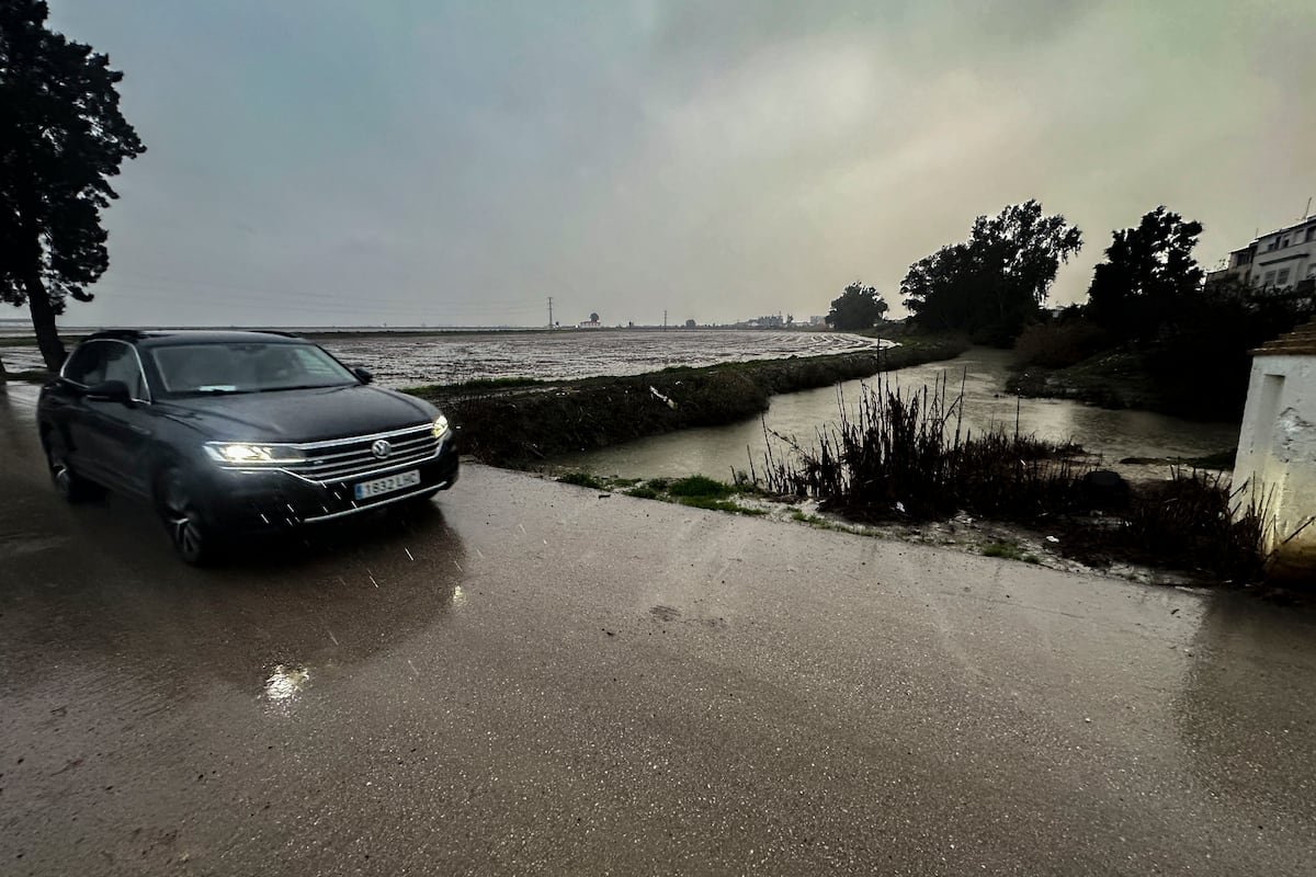 La Guardia Civil halla el cadáver de un hombre en un canal de riego de Isla Mayor
