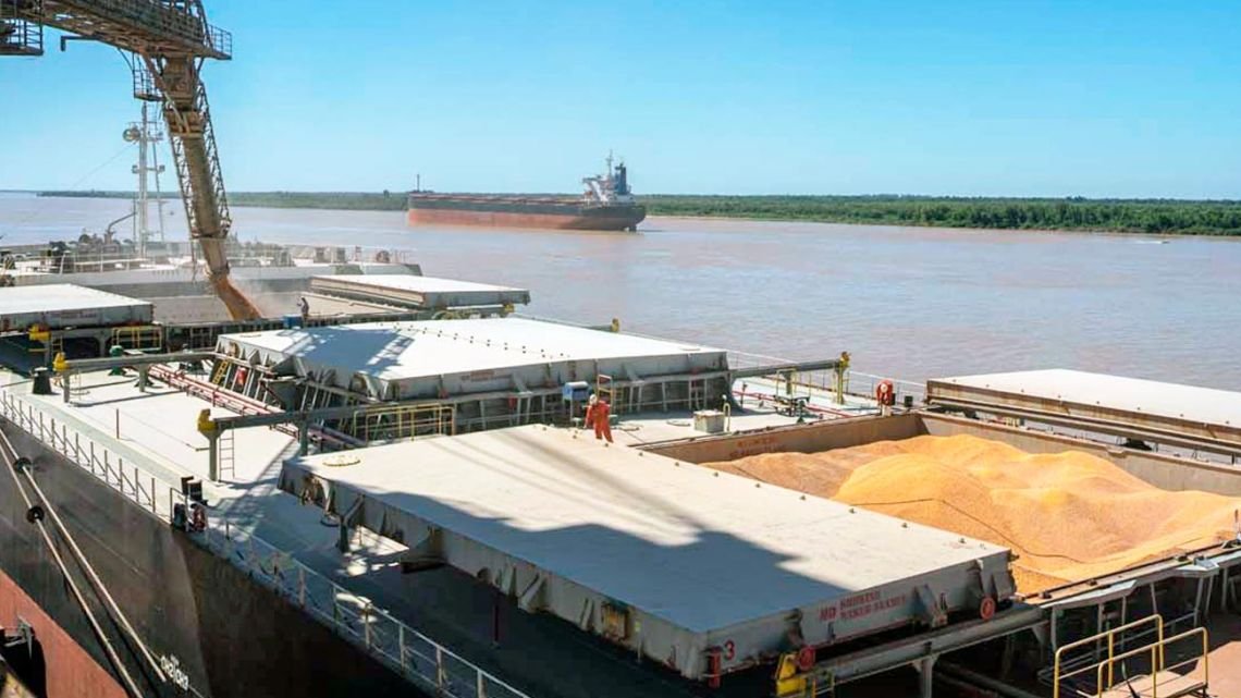 La actividad de las cadenas agropecuarias marcó un récord en noviembre