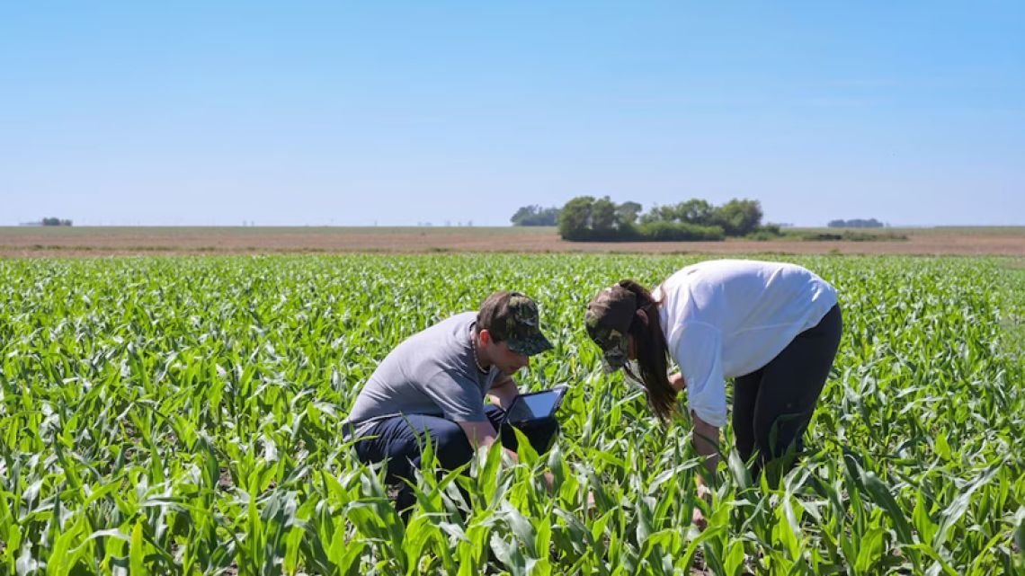 La confianza del agro toca máximos y crece la intención de invertir