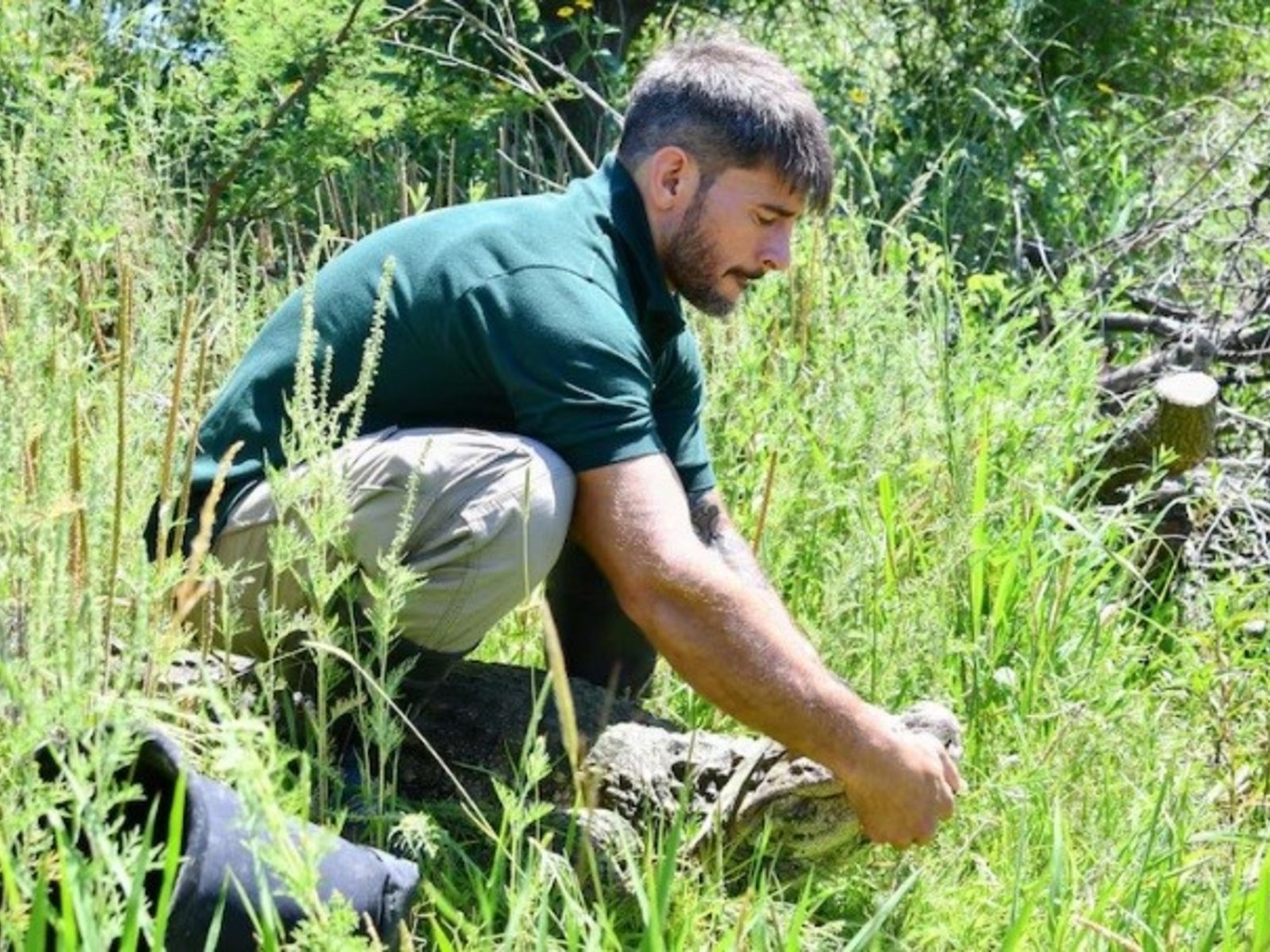 Liberaron en Santa Fe a «Ricardito», el yacaré overo que pasó 10 años encerrado en una pileta de la Ciudad
