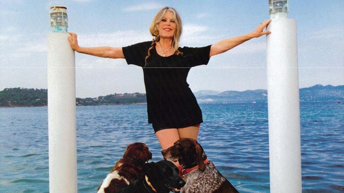Los últimos años de Brigitte Bardot: dejó la "vida superficial" para dedicarse a los animales