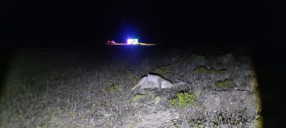 Mujer hospitalizada tras impacto contra guanaco cerca de Camarones