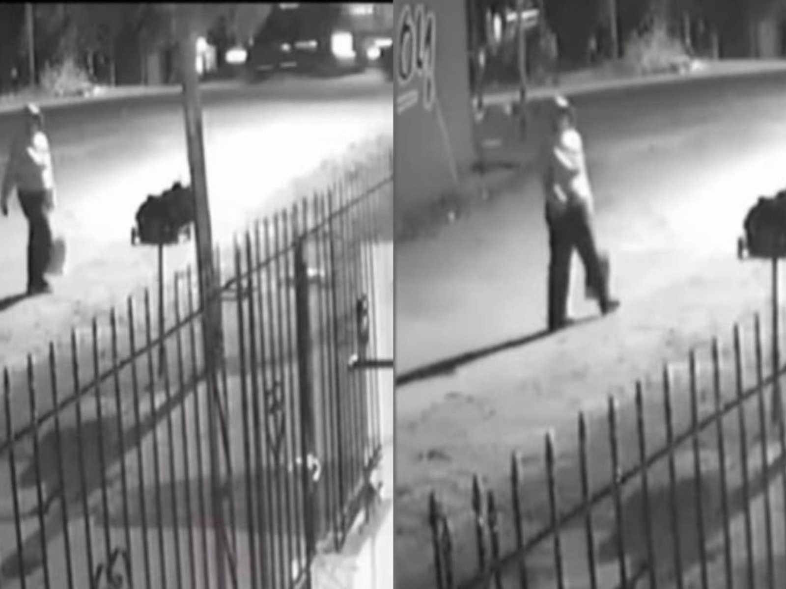 «No podía creer que la criatura fuera abandonada»