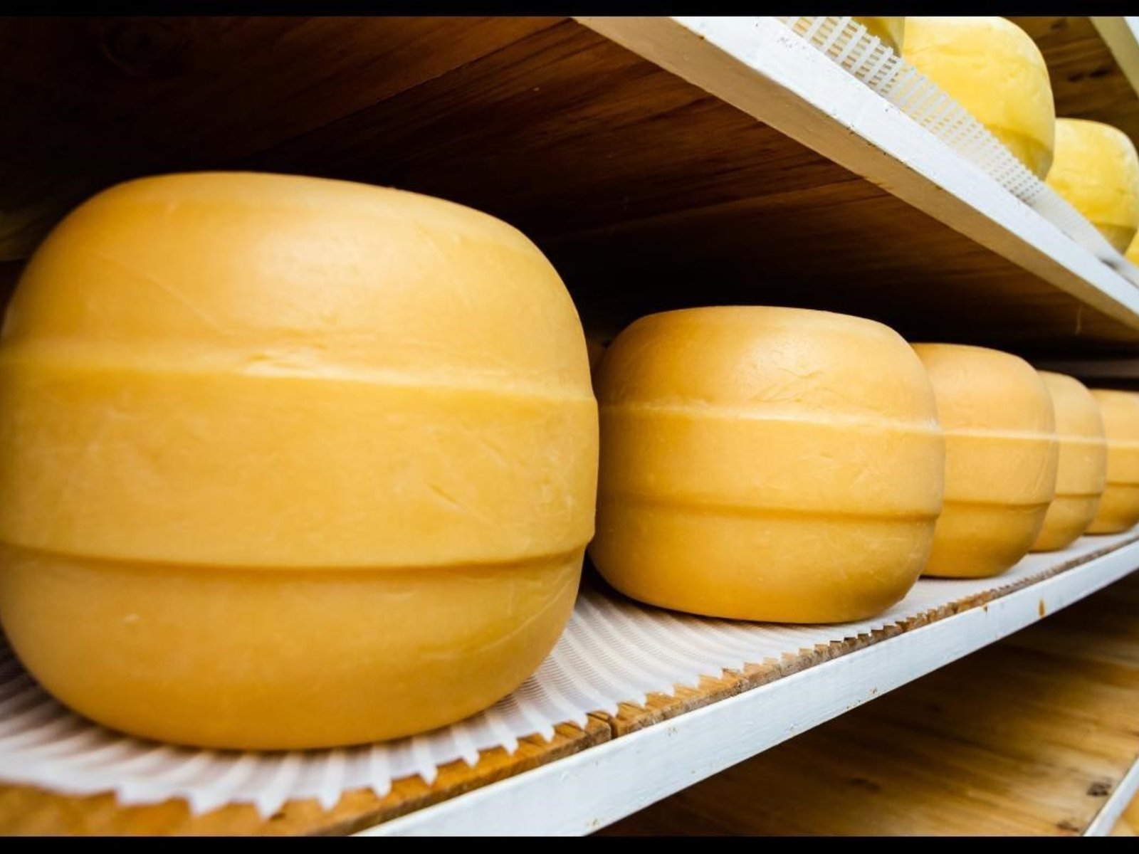 Un queso producido en Santa Fe ganó la medalla de plata en el Mundial de Suiza