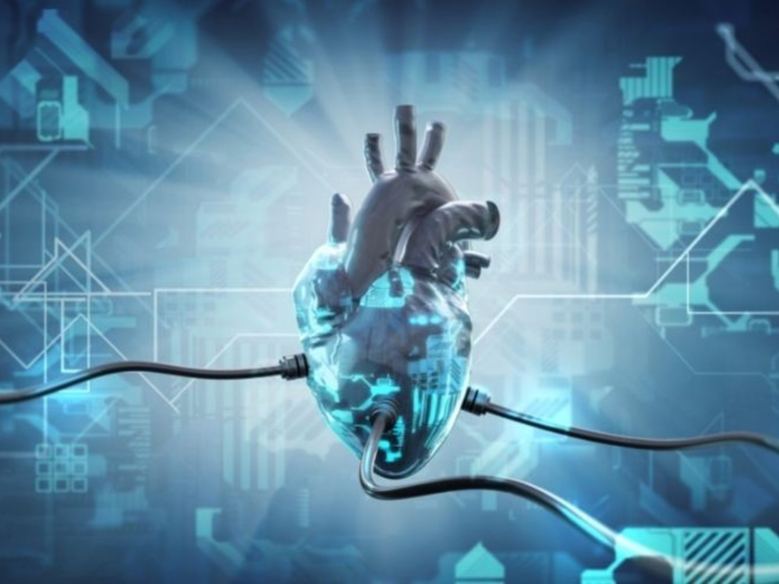 crear un gemelo digital de nuestro cuerpo para ensayar terapias