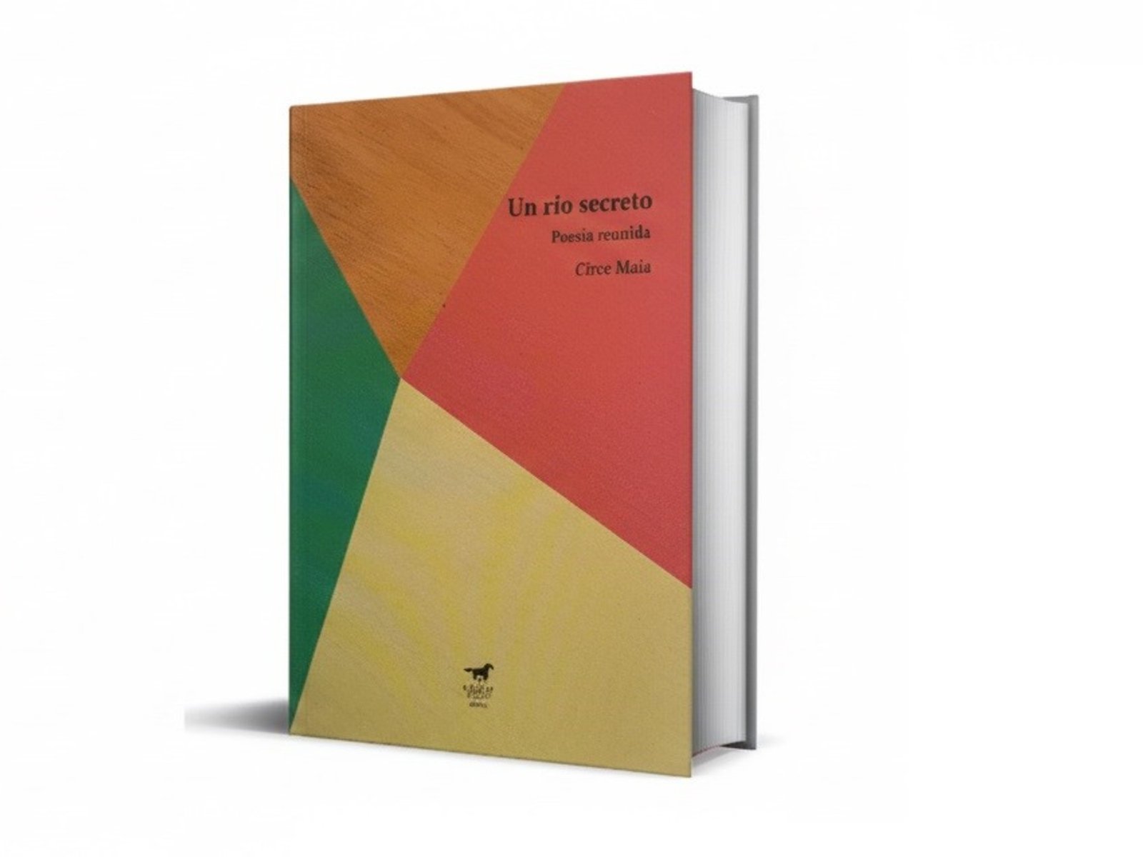 el valor de una poeta que ilumina lo cotidiano