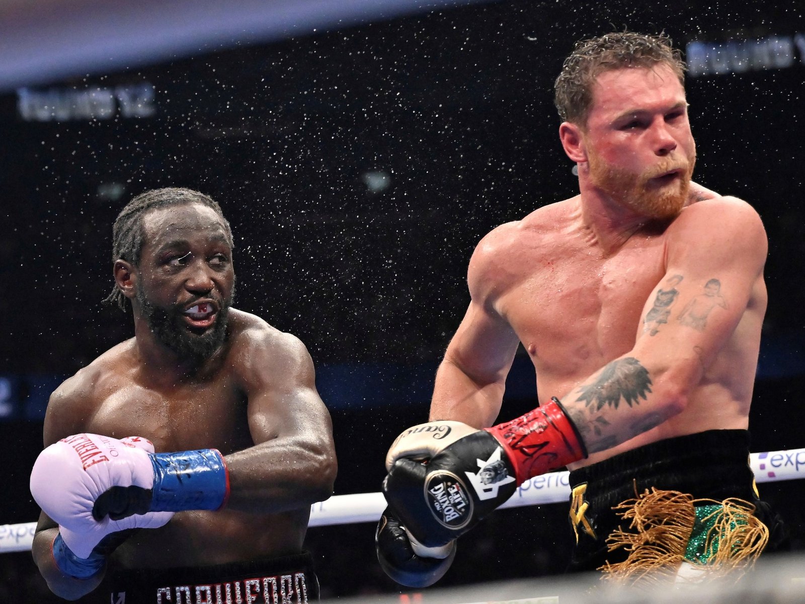 su impactante récord como campeón de tres categorías