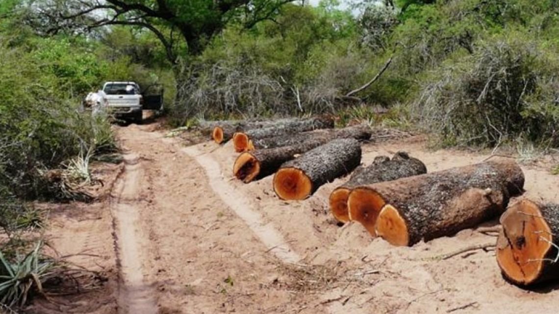 Acuerdo Mercosur–Unión Europea: el sector empresario advierte que Chaco necesita reglas claras