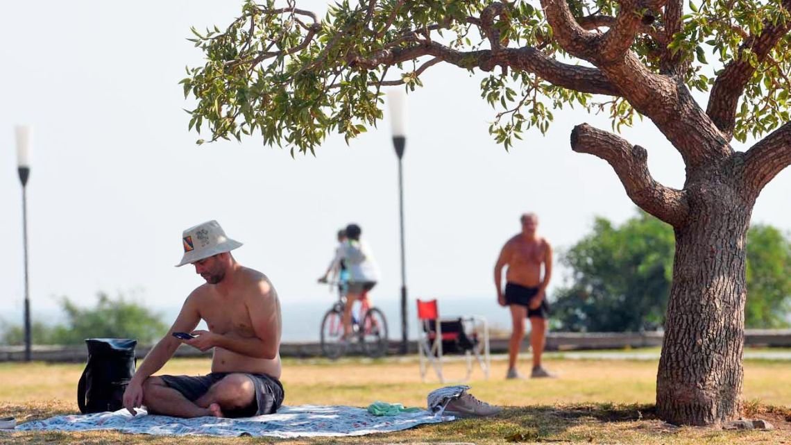 Buenos Aires pierde si no planta árboles