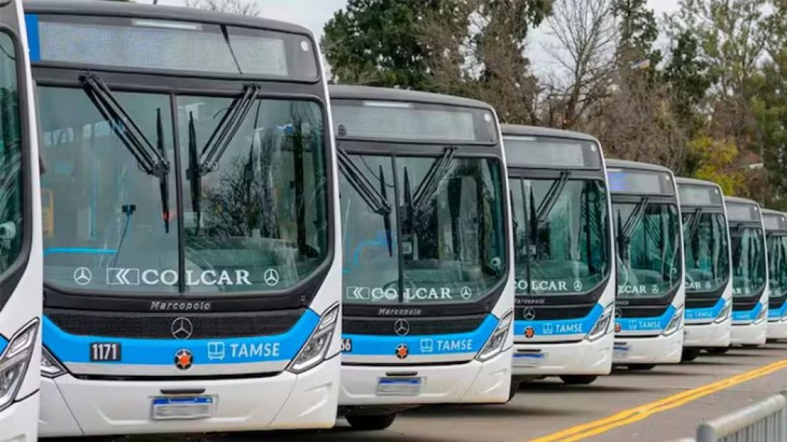 Córdoba: crece la preocupación en la UTA por posibles modificaciones en líneas de Tamsa