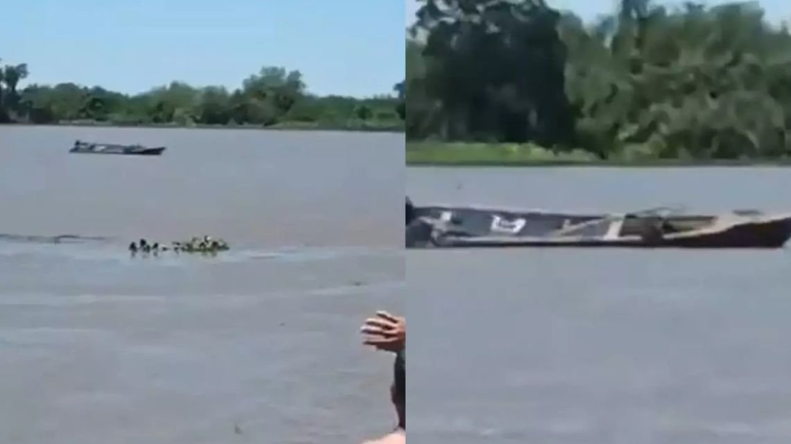 Encontraron una lancha a la deriva en Santa Fe: llevaba los cadáveres de 2 hombres y una vaca