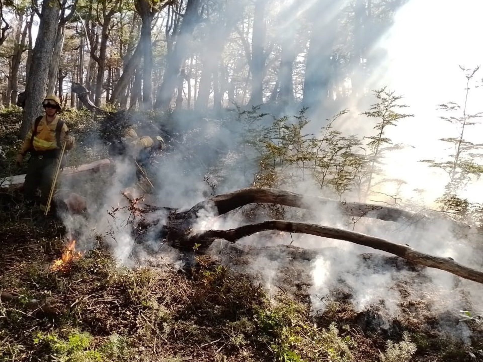 «Estamos atravesando la peor sequía desde 1965»