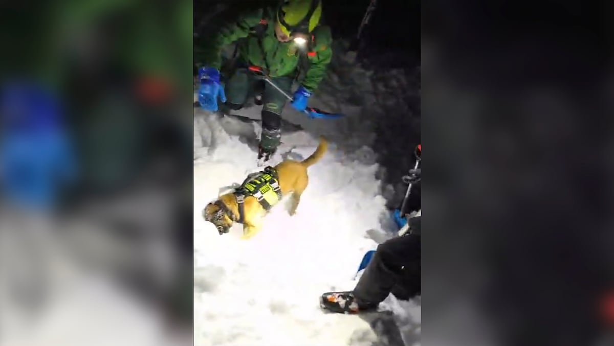 Hallado el cuerpo del montañero atrapado por un alud en Huesca | España