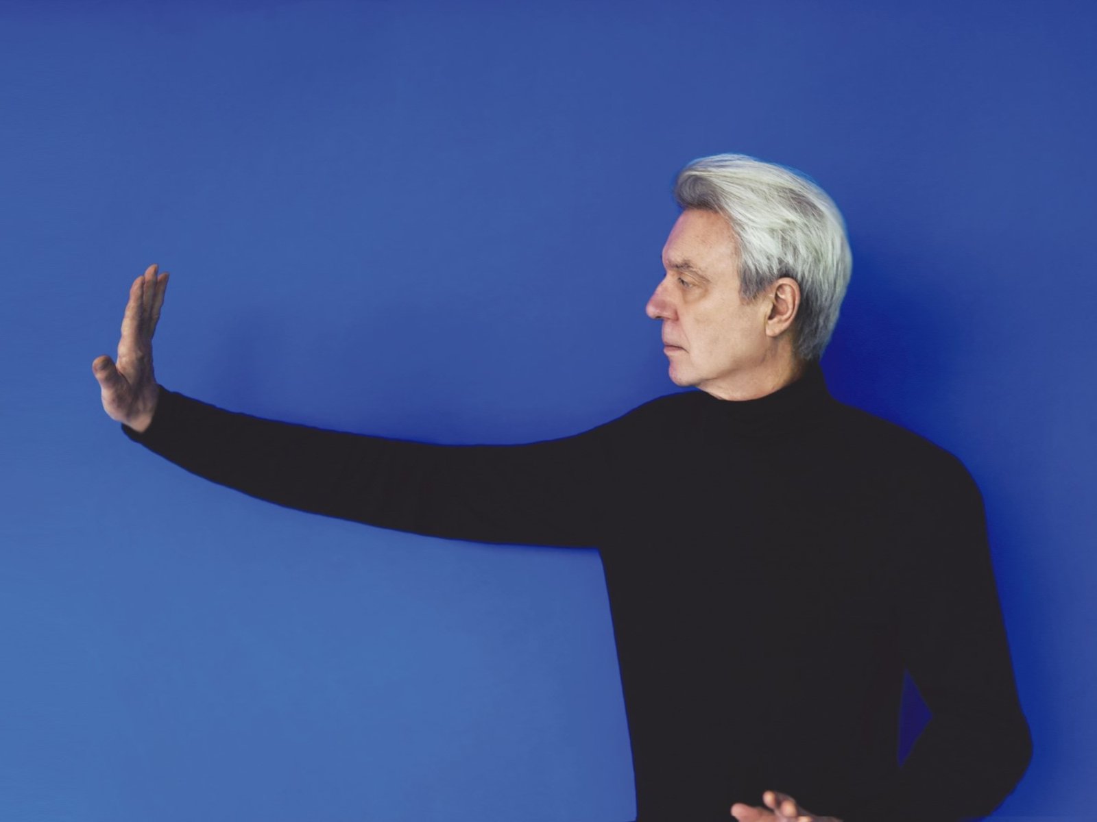 "La experiencia de un show en vivo es irremplazable"