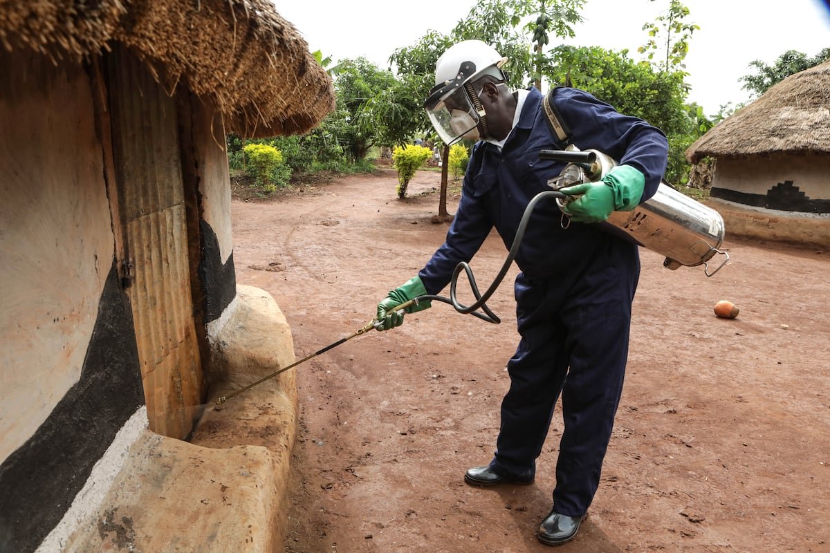 Un año de logros históricos y retos para la salud mundial | Planeta Futuro