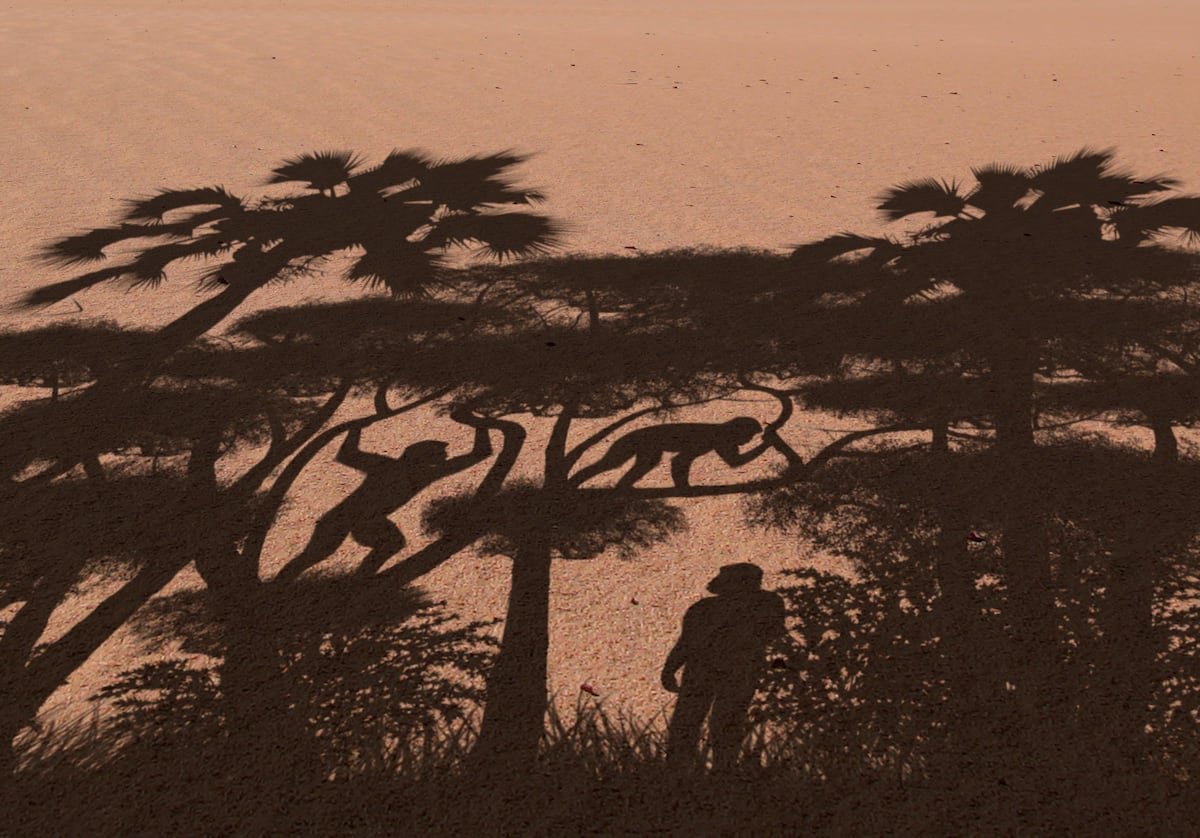 Un fémur de siete millones de años reaviva una larga y feroz guerra científica sobre el origen del bipedalismo | Ciencia