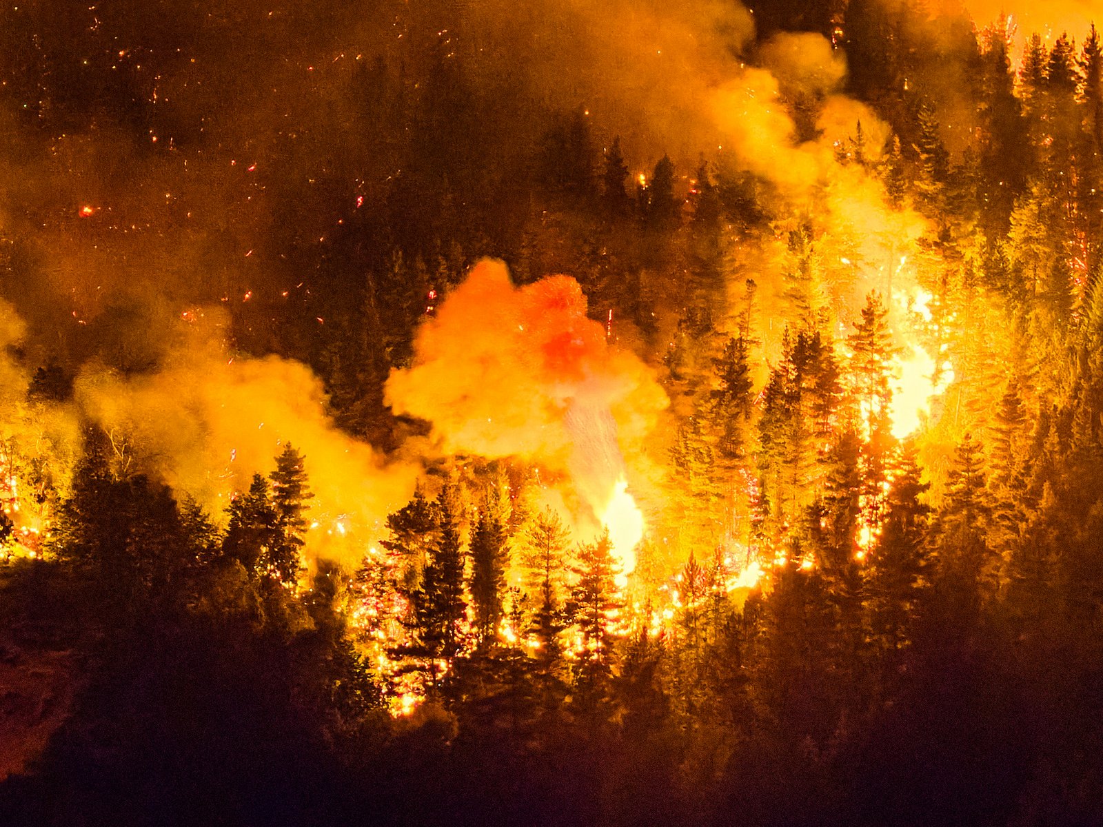 apuntó a grupos violentos que usan «falsas banderas originarias»